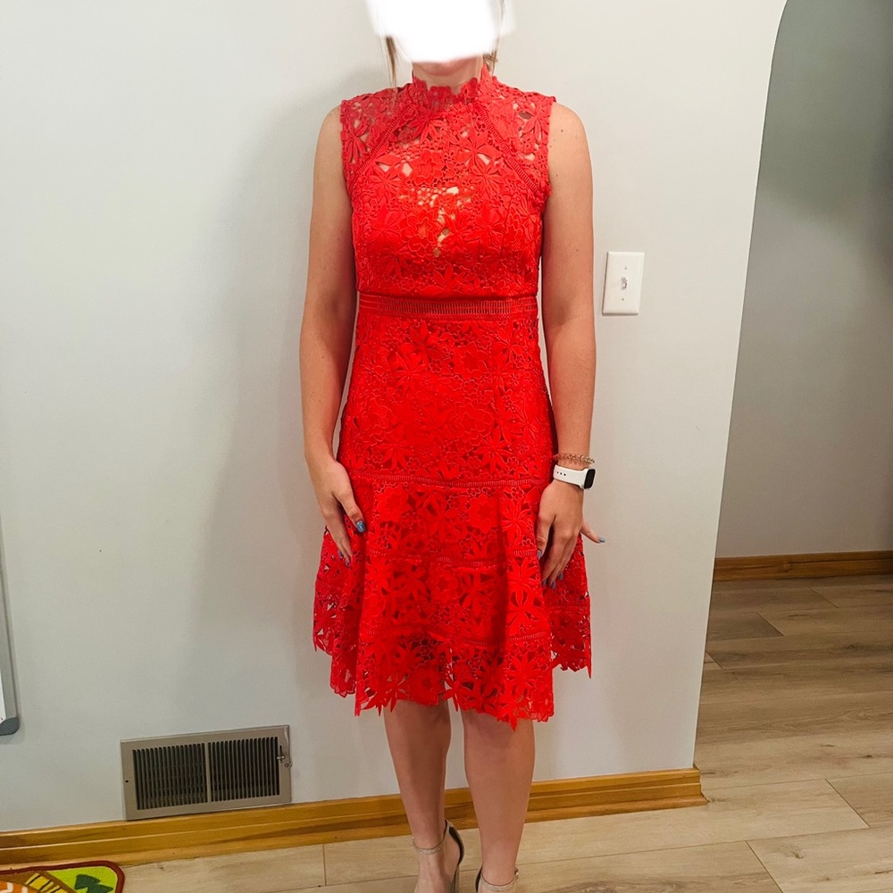 Bardot Elise Lace Cocktail Dress Size 8/M